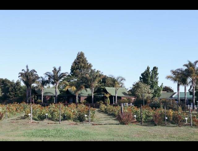 FARM FOR SALE IN TSITSIKAMMA